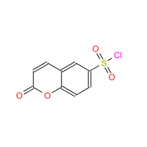 香豆素-6-磺酰氯 10543-42-7