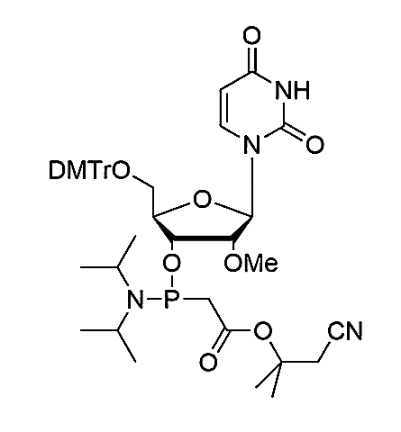 5'-O-DMTr-2'-O-Me-U PACE,3'-O-(Diisopropylamino)phosphinoacetic acid α,α-dimethyl-β-cyanoethyl methyl ester 5'-O-(4,4'-dimethoxytrityl)-2'-O-methyluridine