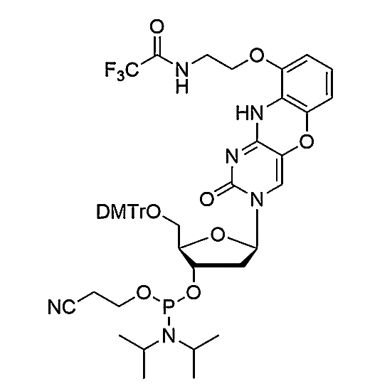 AP-dC Phosphoramidite,(2R,3S,5R)-2-((bis(4-methoxyphenyl)(phenyl)methoxy)methyl)-5-(2-oxo-9-(2-(2,2,2-trifluoroacetamido)ethoxy)-2,10-dihydro-3H-benzo[b]pyrimido[4,5-e][1,4]oxazin-3-yl)tetrahydrofuran-3-yl (2-cyanoethyl)