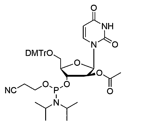 5'-O-DMTr-2'-ara-OAc-U-3'-CE-Phosphoramidite,5'-O-(4, 4'-dimethoxytrityl)-2'-O-acetyl-arabinouridine-3'-[(2-cyanoethyl)-(N, N-diisopropropyl)]-Phosphoramidite