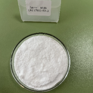 甲基天冬氨酸,N-Methyl-DL-Aspartic Acid