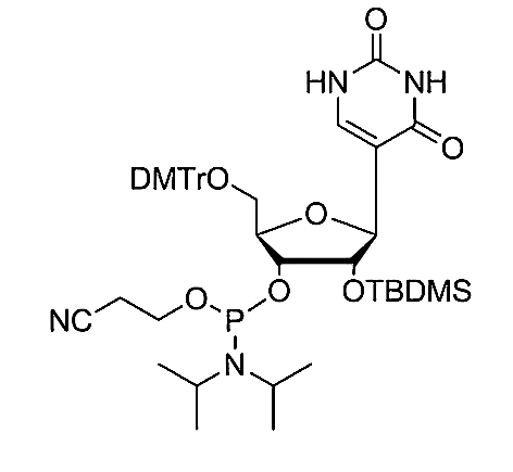 5'-O-DMTr-2'-O-TBDMS-Pseudouridine-3'-CE Phosphoramidite,5'-O-(4,4'-dimethoxytrityl)-2'-O-(t-butyl-dimethylsilyl)-Pseudouridine-3'-cyanoethyl-Phosphoramidite