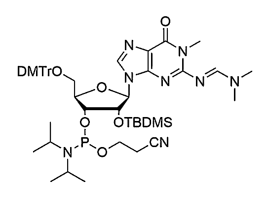 N1-Me-5'-O-DMTr-2'-O-TBDMS-G(dmf)-3'-CE-Phosphoramidite,N1-methyl-N2-dimethylformamide-5'-O-(4, 4'-dimethoxytrityl)-2'-O-(t-butyl-dimethylsilyl)-guanosine-3'-cyanoethyl Phosphoramidite