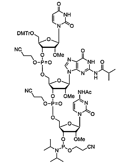 [5'-O-DMTr-2'-OMe-U](pCyEt)[2'-O-Me-G(iBu)](pCyEt)[2'-OMe-C(Ac)-3'-CE-Phosphoramidite],[5'-O-DMTr-2'-OMe-U](pCyEt)[2'-O-Me-G(iBu)](pCyEt)[2'-OMe-C(Ac)-3'-CE-Phosphoramidite]