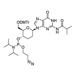 Beta-D-homoDNA-G(iBu) Phosphoramidite