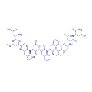 速激肽Neurokinin B/101536-55-4/86933-75-7/Neurokinin B