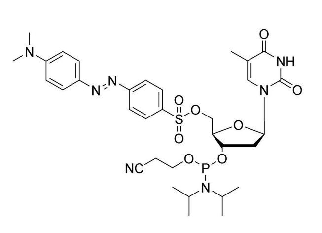5'-O-Dabsyl-T CE-Phosphoramidite,5'-O-Dabsyl-T CE-Phosphoramidite