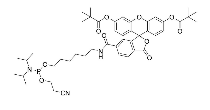 5'-Fluorescein CE-Phosphoramidite (6-FAM),5'-Fluorescein CE-Phosphoramidite (6-FAM)