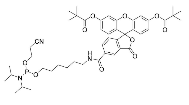 5-FAM, Single Isomer (5-CarboxyFluorescein-Aminohexyl Amidite),5-FAM, Single Isomer (5-CarboxyFluorescein-Aminohexyl Amidite)