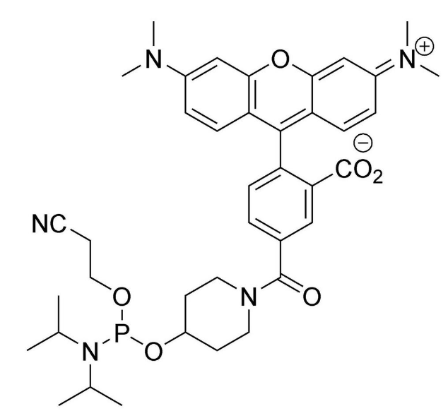 5'-TAMRA Amidite (N-TAMRA-Piperidinyl), 6-Carboxy Single Isomer,5'-TAMRA Amidite (N-TAMRA-Piperidinyl), 6-Carboxy Single Isomer