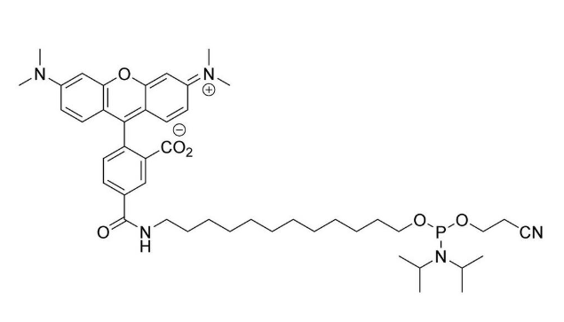 5'-TAMRA C12 Amidite (5-Isomer),5'-TAMRA C12 Amidite (5-Isomer)