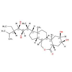28-高芸苔素内酯,(22R,23R)-2A,3A,22,23-TETRAHYDROXY-24-ETHYL-BETA-HOMO-7-OXA-5A-CHOLESTAN-6-ONE