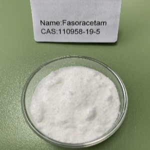 法索西坦,Fasoracetam