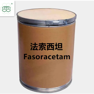 法索西坦,Fasoracetam