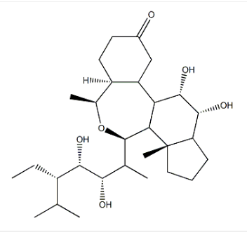 28-表高油菜素内酯,22(S),23(S)-Homobrassinolide