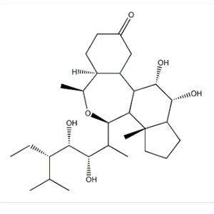 28-表高油菜素内酯,22(S),23(S)-Homobrassinolide