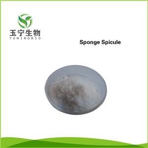 海绵骨针,Sponge spicule