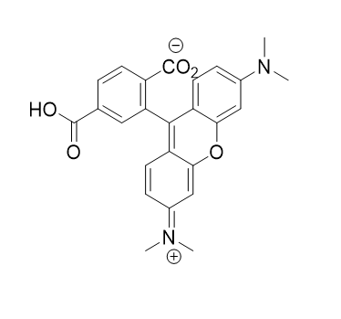 5'-TAMRA(N-TAMRA-Piperidinyl),5'-TAMRA(N-TAMRA-Piperidinyl)