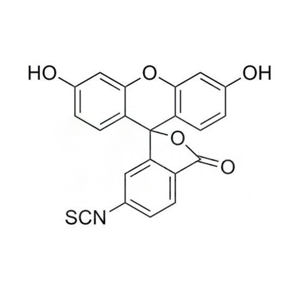 6-FITC,6-FITC