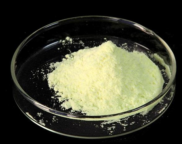 4-氯-N-甲基-3-硝基苯磺酰胺,2-NITROCHLOROBENZENE-4-SULFOMETHYL AMIDE