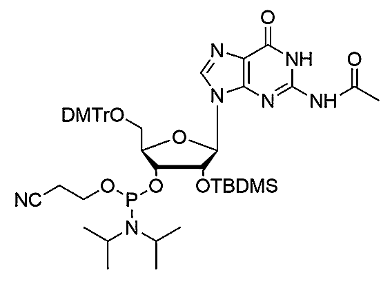 5'-O-DMTr-2'-O-TBDMS-G(Ac)-3'-CE-Phosphoramidite,5'-O-DMTr-2'-O-TBDMS-G(Ac)-3'-CE-Phosphoramidite