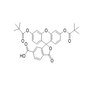5’-Fluorescein (6-FAM)