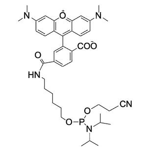 6-TAMRA-Phosphoramidite,6-TAMRA-Phosphoramidite