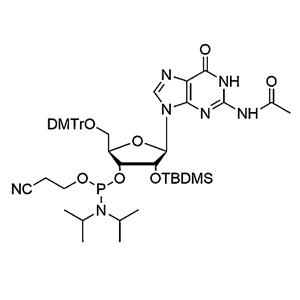 5'-O-DMTr-2'-O-TBDMS-G(Ac)-3'-CE-Phosphoramidite