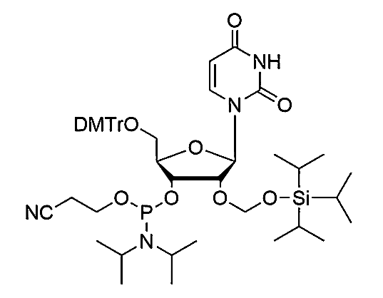 5'-O-DMTr-2'-O-TOM-U Phosphoramidite,5'-O-DMTr-2'-O-TOM-U Phosphoramidite