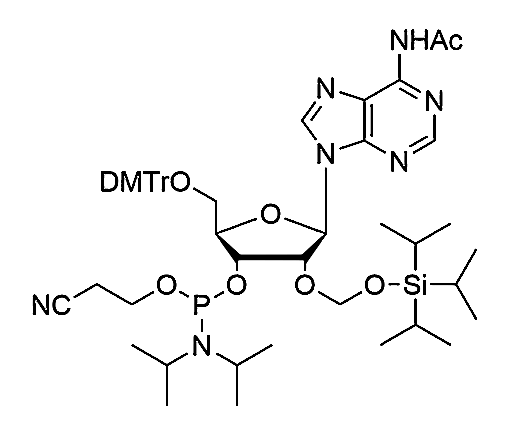 5'-O-DMTr-2'-O-TOM-A(Ac) Phosphoramidite,5'-O-DMTr-2'-O-TOM-A(Ac) Phosphoramidite