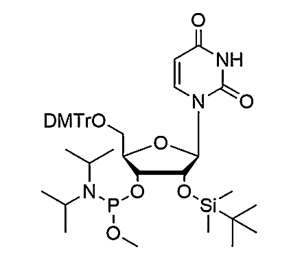 5'-O-DMTr-2'-O-TBDMS-U-3'-Methoxy-phosphoramidite,5'-O-DMTr-2'-O-TBDMS-U-3'-Methoxy-phosphoramidite