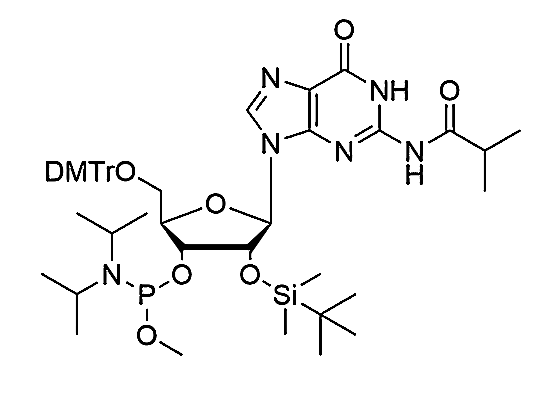 5'-O-DMTr-2'-O-TBDMS-G(iBu)-3'-Methoxy-phosphoramidite,5'-O-DMTr-2'-O-TBDMS-G(iBu)-3'-Methoxy-phosphoramidite