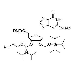 5'-O-DMTr-2'-O-TOM-G(Ac) Phosphoramidite