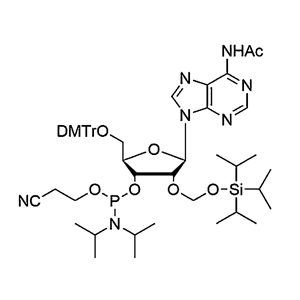 5'-O-DMTr-2'-O-TOM-A(Ac) Phosphoramidite