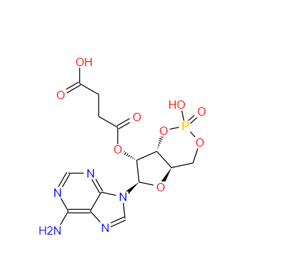 2 '-O-單琥珀酰腺苷3 ':5 '-環(huán)一磷酸,2'-O-MONOSUCCINYLADENOSINE 3':5'-CYCLIC MONOPHOSPHATE