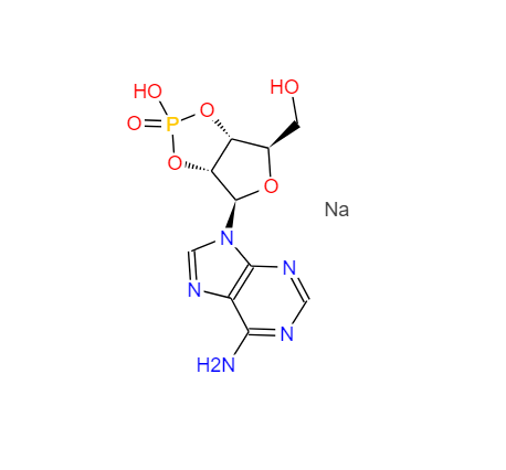 腺苷2′:3′-循环磷酸钠盐,ADENOSINE-2':3'-CYCLIC MONOPHOSPHATE, SODIUM SALT
