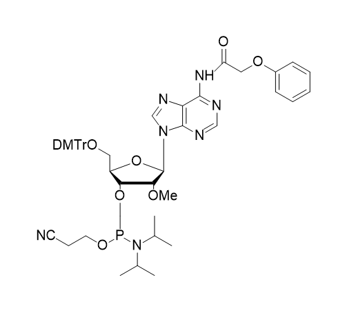 2'-OMe-Pac-A-CE Phosphoramidite,2'-OMe-Pac-A-CE Phosphoramidite