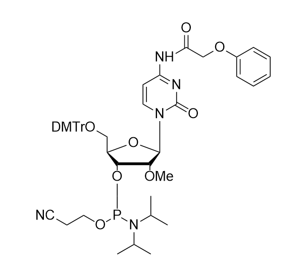 2'-OMe-Pac-C-CE Phosphoramidite,2'-OMe-Pac-C-CE Phosphoramidite