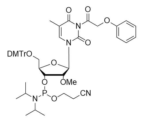 2'-OMe-Pac-T-CE Phosphoramidite,2'-OMe-Pac-T-CE Phosphoramidite