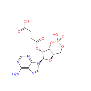 2 '-O-单琥珀酰腺苷3 ':5 '-环一磷酸