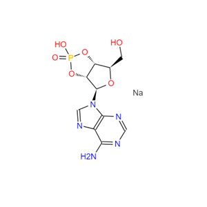 腺苷2′:3′-循环磷酸钠盐,ADENOSINE-2