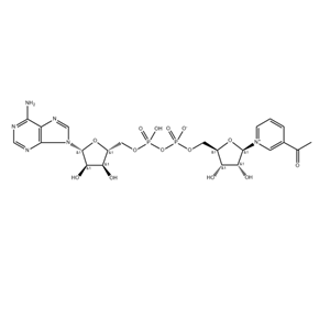 3-乙酰吡啶腺嘌呤二核苷酸