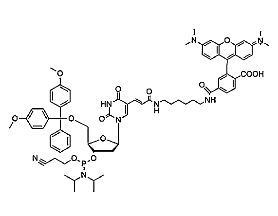 TAMRA-dT Phosphoramidite,TAMRA-dT Phosphoramidite