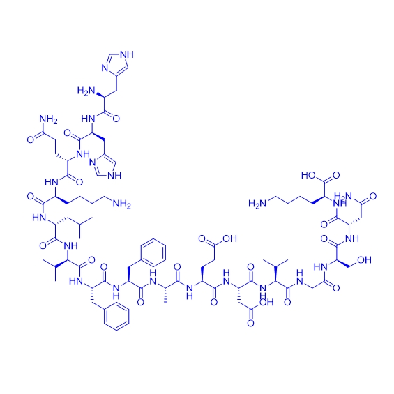β淀粉样肽片段多肽13-27,β-Amyloid (13-27)