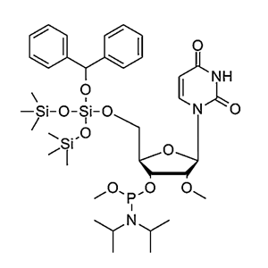 5'-BzH-2'-OMe-Ur-3'-Methoxyphosphoramidite