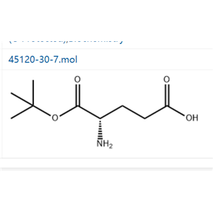 1-叔丁基 L-谷氨酸,L-Glutamic acid α-tert·butyl ester