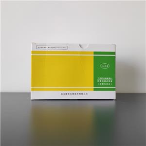 乙型肝炎病毒前S1抗原检测试剂盒