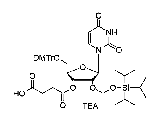 5'-O-DMTr-2'-O-TOM-U succinate,5'-O-DMTr-2'-O-TOM-U succinate