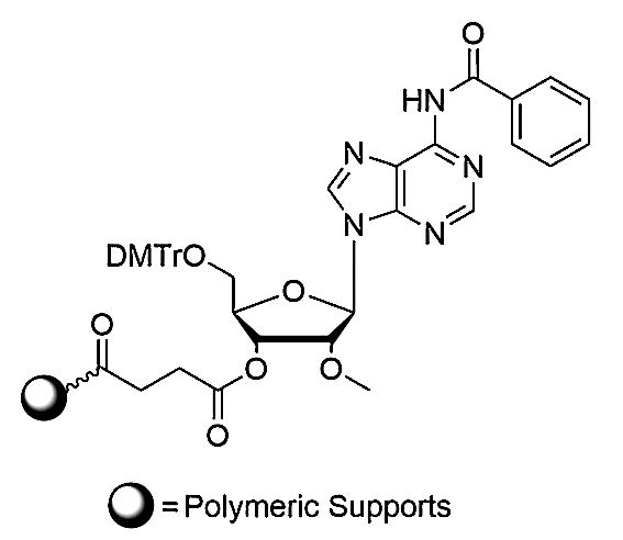 5'-O-DMTr-2'-O-Me-A-3'-O-Succinate-Polymeric Supports,5'-O-DMTr-2'-O-Me-A-3'-O-Succinate-Polymeric Supports