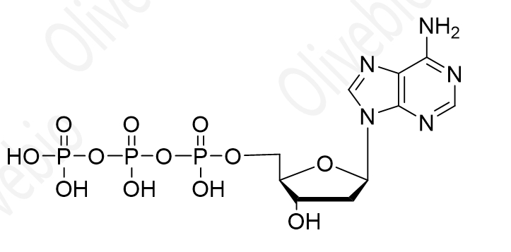2'-脱氧腺苷 5'-三磷酸酯；2'-脱氧腺苷-5'-三磷酸；DATP；三磷酸脱氧腺苷；dATP,2'-deoxyadenosine-5'-triphosphate;100mMsolution dATP;2'-Deoxyadenosine-5'-triphosphate;dATPSolution(100mM)